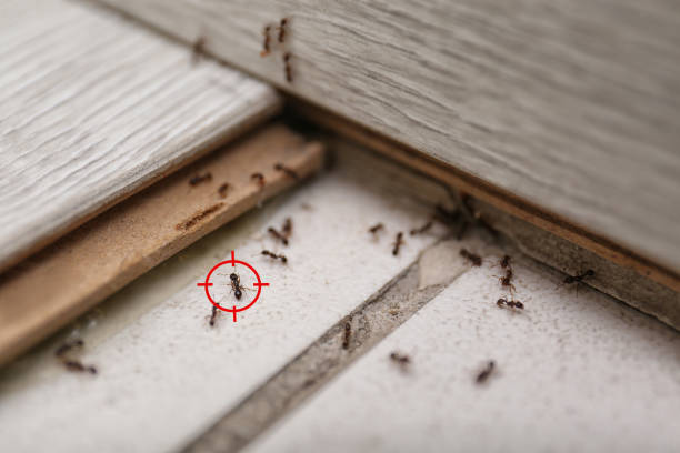 Wildlife Control Services in Highland Park, PA